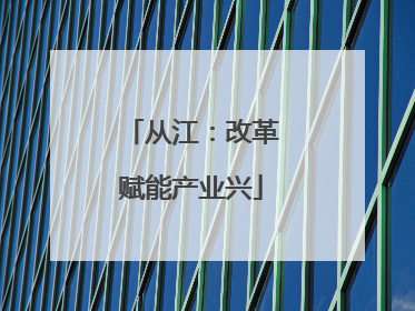 从江：改革赋能产业兴