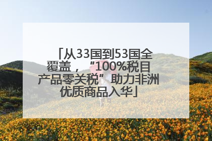 从33国到53国全覆盖，“100%税目产品零关税”助力非洲优质商品入华