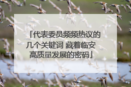 代表委员频频热议的几个关键词 藏着临安高质量发展的密码