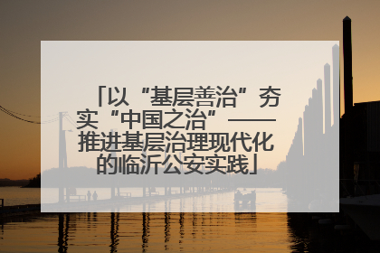以“基层善治”夯实“中国之治”——推进基层治理现代化的临沂公安实践
