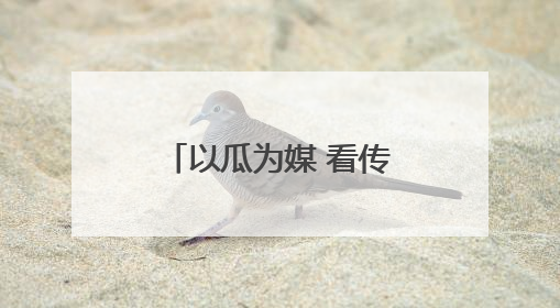 以瓜为媒 看传统农业大镇石莲子镇如何唱响乡村振兴协奏曲？