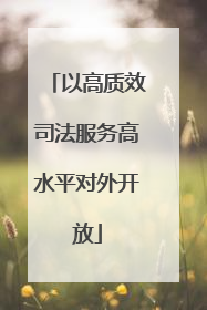 以高质效司法服务高水平对外开放