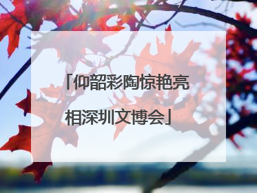 仰韶彩陶惊艳亮相深圳文博会