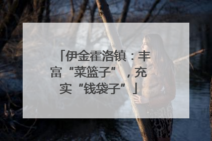 伊金霍洛镇：丰富“菜篮子”，充实“钱袋子”