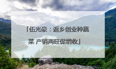 伍光豪：返乡创业种蔬菜 产销两旺促增收