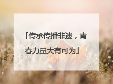 传承传播非遗，青春力量大有可为