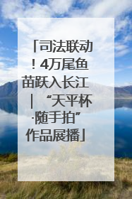 司法联动！4万尾鱼苗跃入长江｜“天平杯·随手拍”作品展播