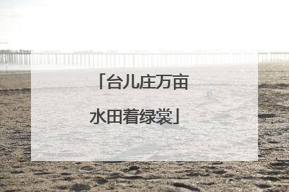 台儿庄万亩水田着绿裳