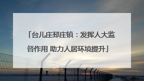 台儿庄邳庄镇：发挥人大监督作用 助力人居环境提升