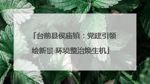 台前县侯庙镇：党建引领绘新景 环境整治焕生机