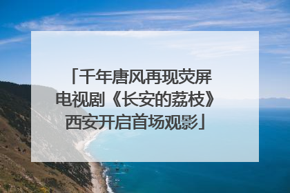 千年唐风再现荧屏 电视剧《长安的荔枝》西安开启首场观影