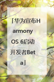 华为宣布HarmonyOS 6启动开发者Beta