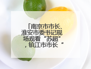 南京市市长、淮安市委书记现场观看“苏超”，镇江市市长“探班”球员