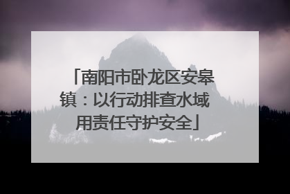 南阳市卧龙区安皋镇：以行动排查水域 用责任守护安全