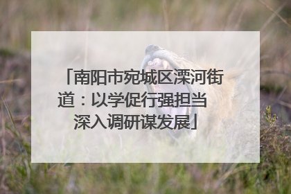 南阳市宛城区溧河街道：以学促行强担当 深入调研谋发展