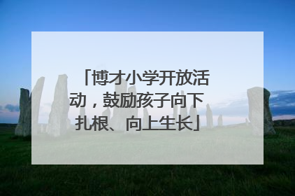 博才小学开放活动，鼓励孩子向下扎根、向上生长