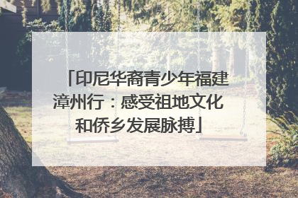印尼华裔青少年福建漳州行：感受祖地文化和侨乡发展脉搏