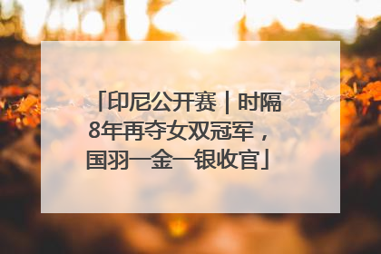 印尼公开赛｜时隔8年再夺女双冠军，国羽一金一银收官