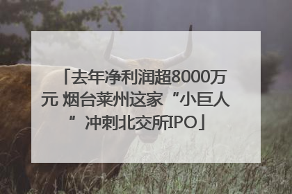 去年净利润超8000万元 烟台莱州这家“小巨人”冲刺北交所IPO