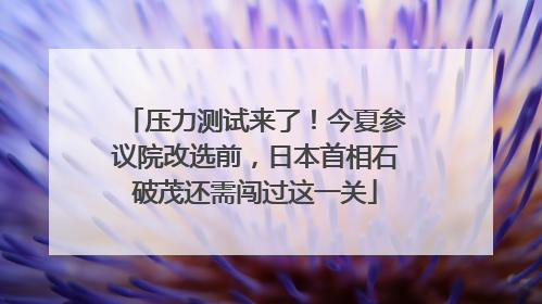 压力测试来了！今夏参议院改选前，日本首相石破茂还需闯过这一关