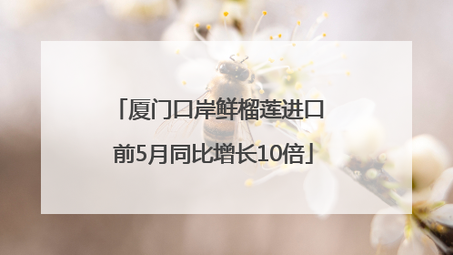 厦门口岸鲜榴莲进口 前5月同比增长10倍