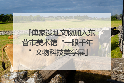 傅家遗址文物加入东营市美术馆“一眼千年”文物科技美学展