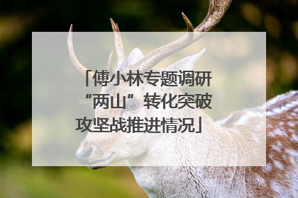 傅小林专题调研“两山”转化突破攻坚战推进情况
