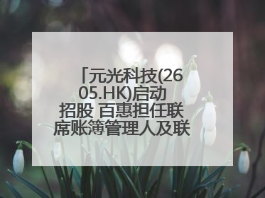 元光科技(2605.HK)启动招股 百惠担任联席账簿管理人及联席牵头经办人