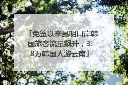 免签以来昆明口岸韩国旅客流量飙升，3.8万韩国人游云南