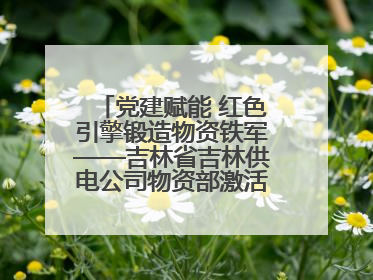 党建赋能 红色引擎锻造物资铁军——吉林省吉林供电公司物资部激活供应链新动能