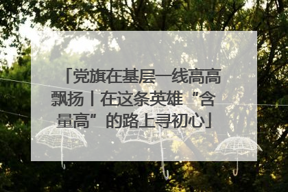 党旗在基层一线高高飘扬丨在这条英雄“含量高”的路上寻初心