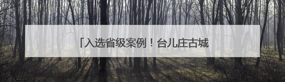 入选省级案例！台儿庄古城“国潮文化节”何以破圈？