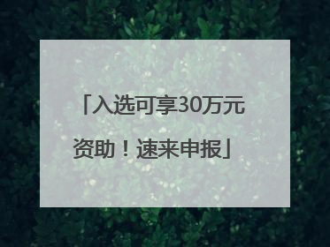 入选可享30万元资助！速来申报