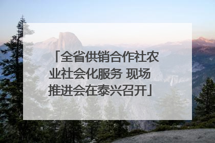 全省供销合作社农业社会化服务 现场推进会在泰兴召开