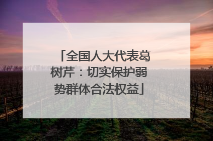 全国人大代表葛树芹：切实保护弱势群体合法权益
