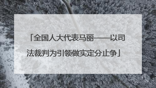 全国人大代表马丽——以司法裁判为引领做实定分止争