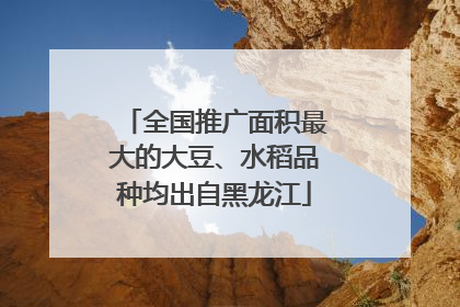 全国推广面积最大的大豆、水稻品种均出自黑龙江