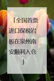 全国首票进口保税岩板在泉州南安顺利入仓