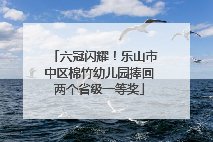 六冠闪耀！乐山市中区棉竹幼儿园捧回两个省级一等奖