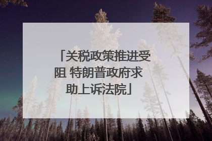 关税政策推进受阻 特朗普政府求助上诉法院