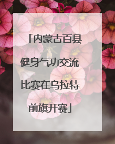 内蒙古百县健身气功交流比赛在乌拉特前旗开赛