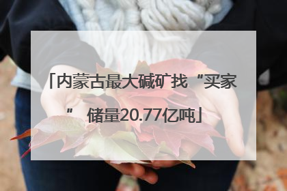 内蒙古最大碱矿找“买家” 储量20.77亿吨