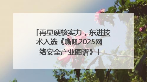 再显硬核实力，东进技术入选《嘶吼2025网络安全产业图谱》