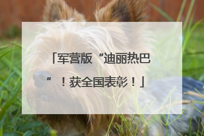 军营版“迪丽热巴”！获全国表彰！