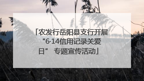农发行岳阳县支行开展“6·14信用记录关爱日” 专题宣传活动