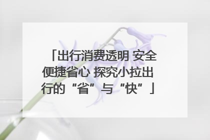 出行消费透明 安全便捷省心 探究小拉出行的“省”与“快”