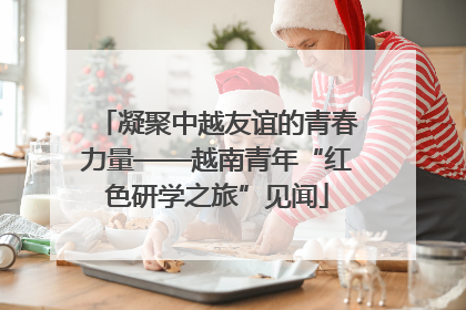 凝聚中越友谊的青春力量——越南青年“红色研学之旅”见闻