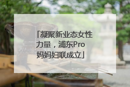 凝聚新业态女性力量，浦东Pro妈妈妇联成立