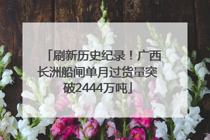 刷新历史纪录！广西长洲船闸单月过货量突破2444万吨