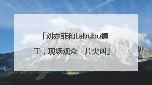 刘亦菲和Labubu握手，现场观众一片尖叫